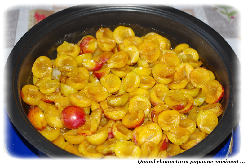 tarte tatin aux mirabelles-6076
