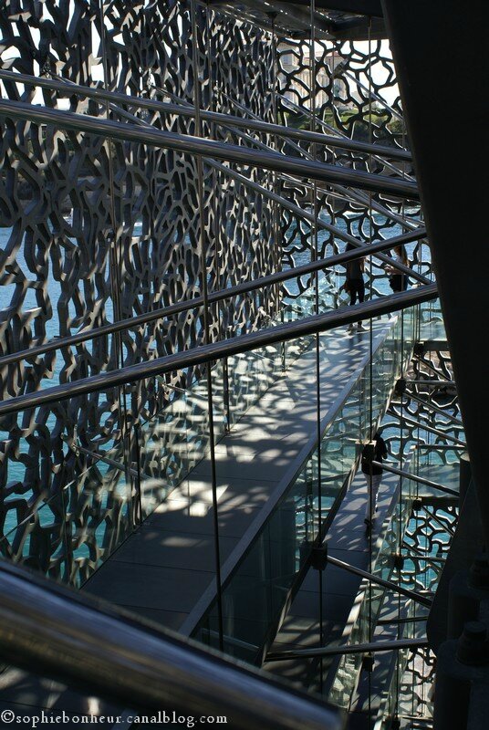 Mucem enchevêtrement