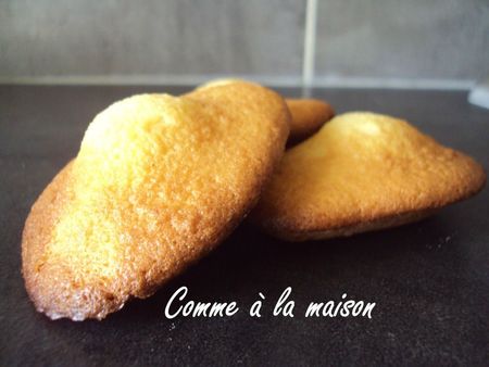 120807 - mes premières madeleines (13)