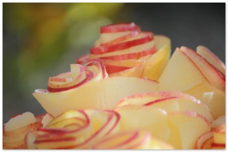 Tarte fleurs de pommes5