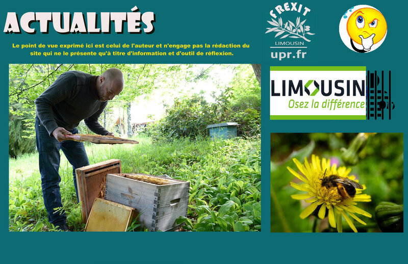 ACT ABEILLES CREUSE