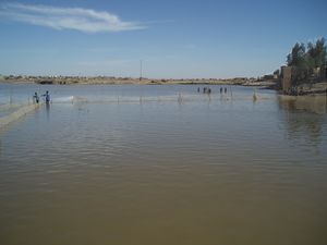 pêche dans la lagune MOPTI Mali