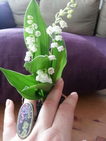 muguet