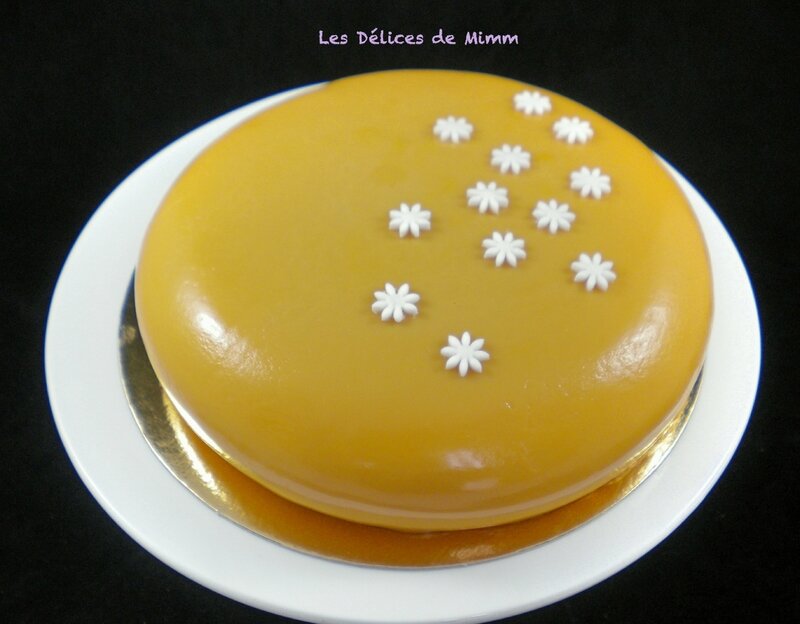 Mon entremet pommes, caramel et chocolat Dulcey