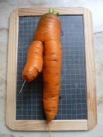 14-carottes (9)