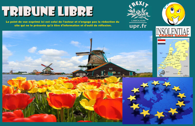 TL PAYS BAS REFERENDUMS