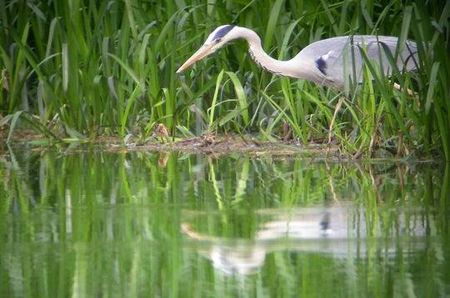 parc_naturel_regional_lorraine_439455