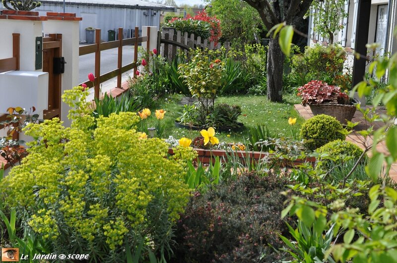 Jardin devant la maison - 2016