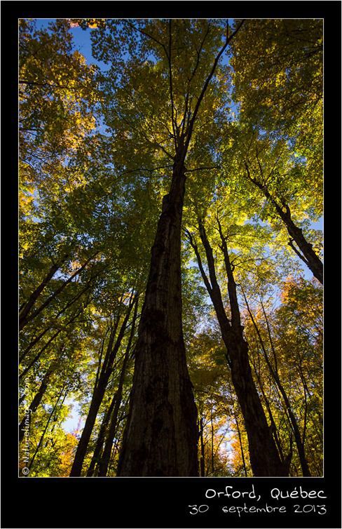 IMG_9222-naturelimages.com