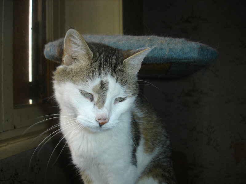 DSC05681