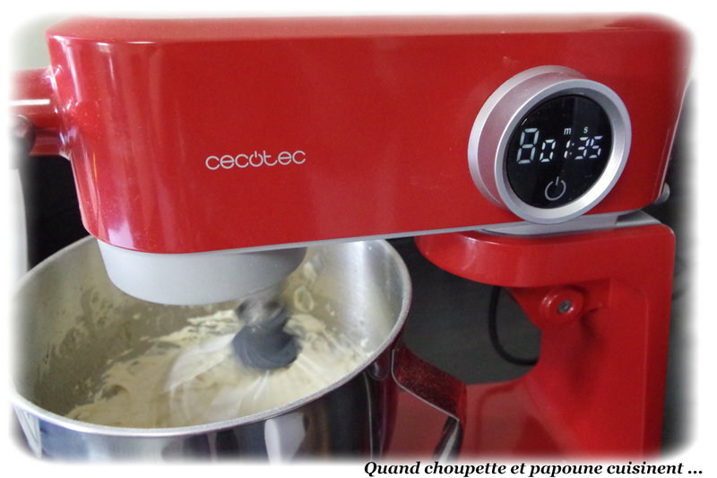 gâteau noix de coco et rhum-9644
