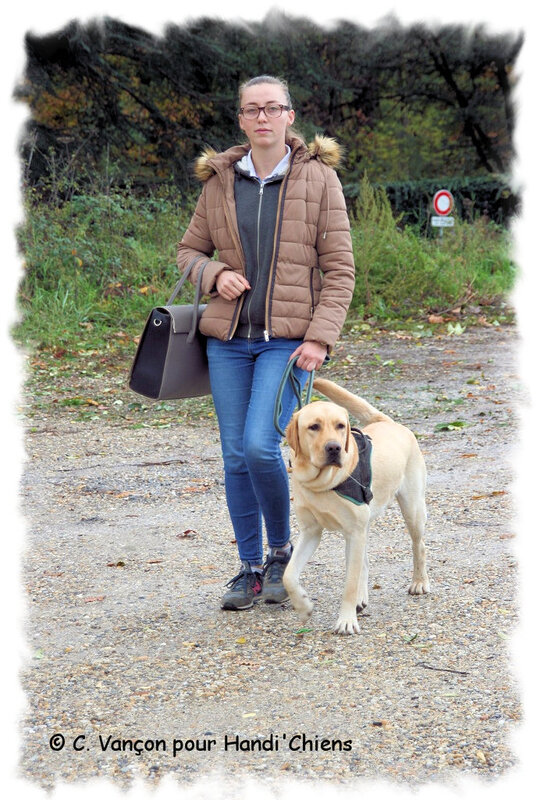 HC_nov2019_007