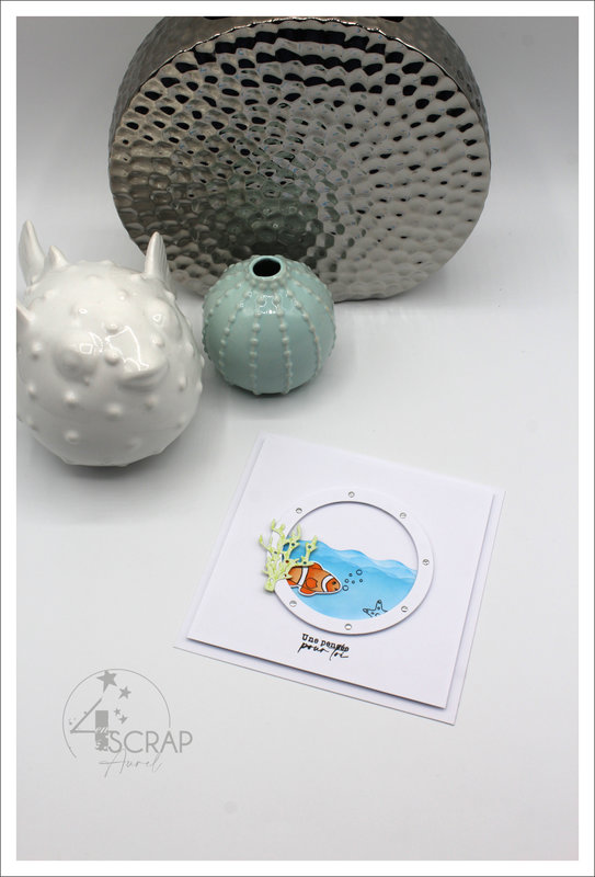 120522 - Cartes Fonds marins - AP E22 - J3 #10