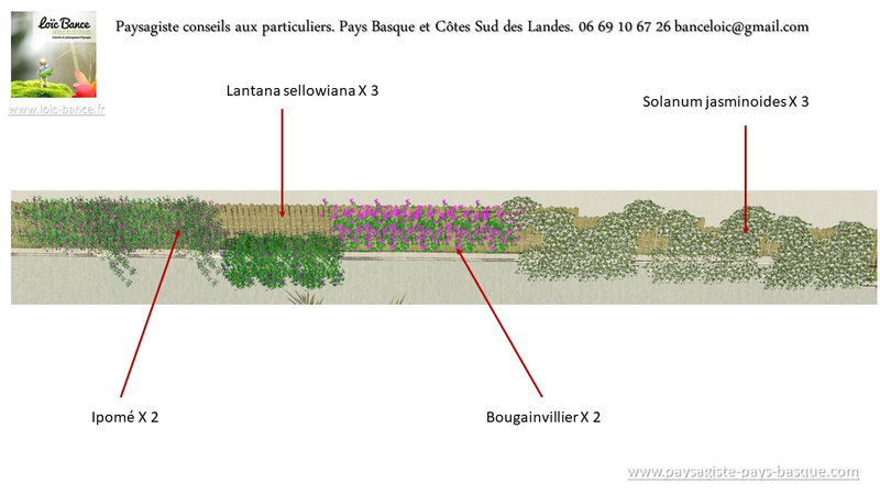 Paysagiste-Bidart-64210-decembre-2021_66