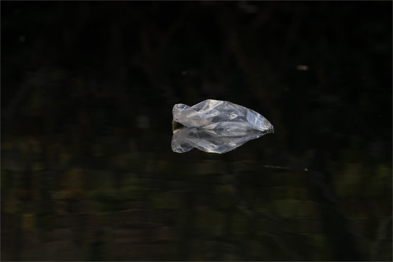 rivière plastique tortue 4 220119