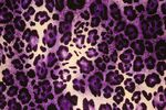 LEOPARD2___Purple_Leopard