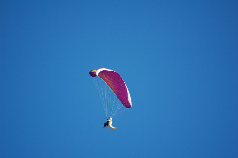 zoom (182)