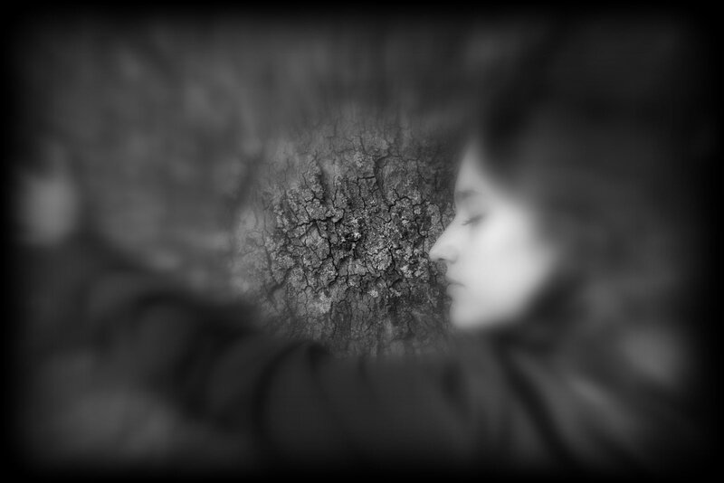 enlacer un arbre