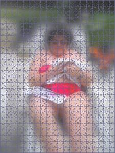 DCFC001712_puzzle
