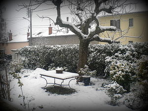 DSCN2927