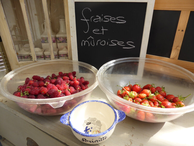 15-fraises, mûroises (2)