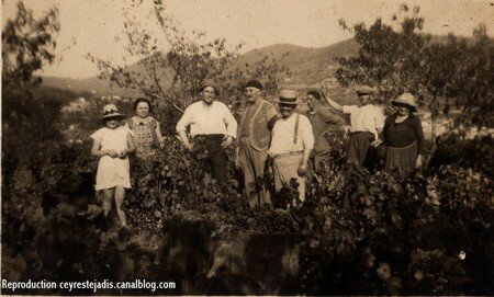 Vendanges1931