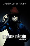 l_ange_dechu