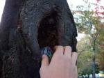 Geocaching-1-850x638