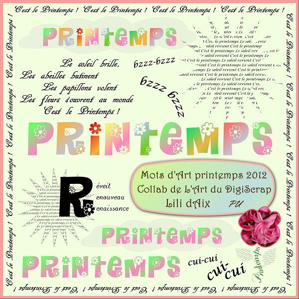 Mots d'Art-Printemps 2012_ADS-Lilidaix_pv