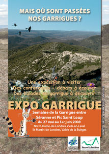 balade_en_garrigue