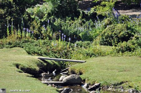 Les Pozzines en Corse