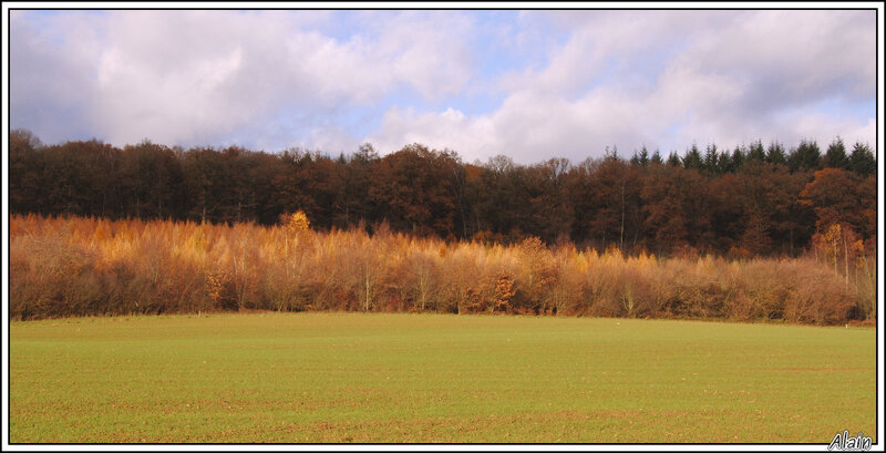 couleurs d'automne