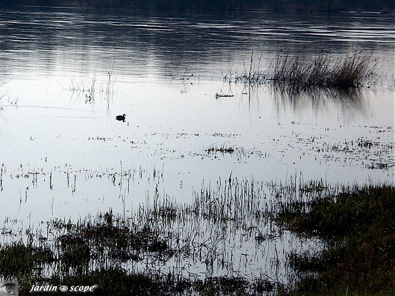 Reflet de Loire en Mars 2007