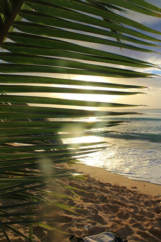 Guadeloupe avec M C 247