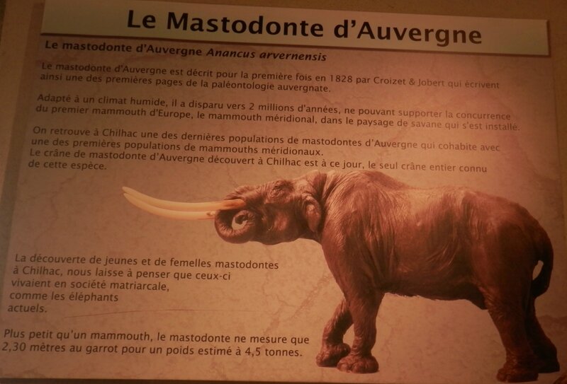 Mastodonte Chilhac