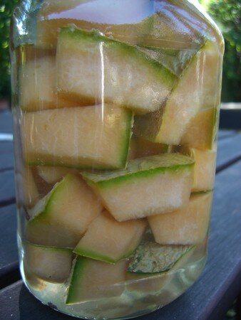 melon_002