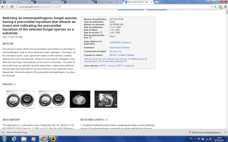 brevet