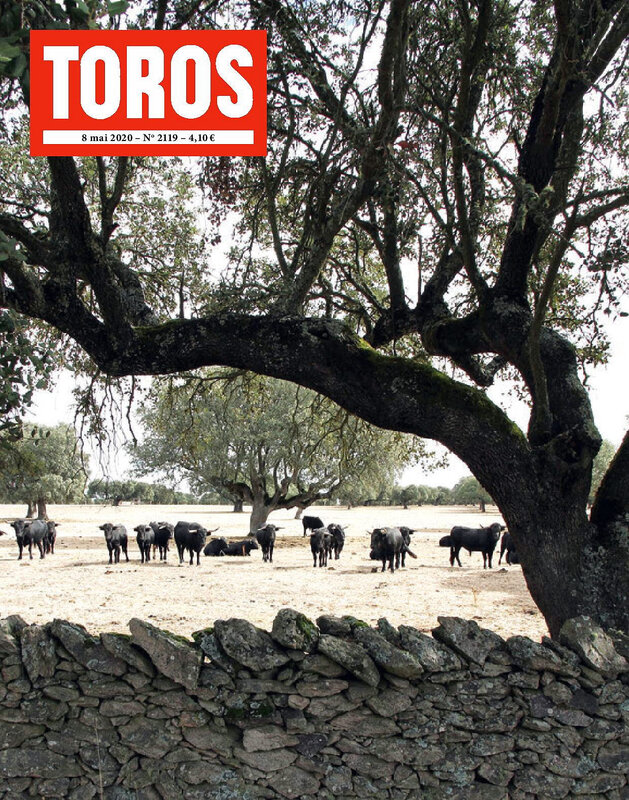 COUV TOROS 2119-page-001