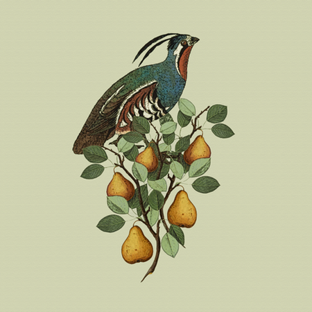 partridge_in_a_pear_tree_--_close_up_shop_preview