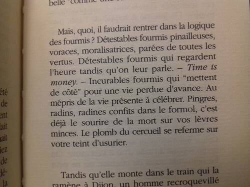 extrait grosse 087