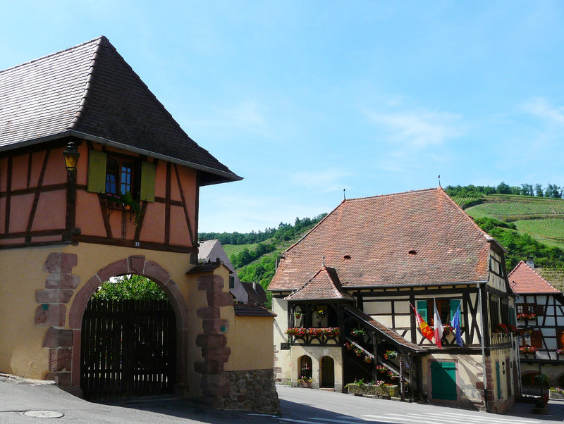 Niedermorschwihr (7)