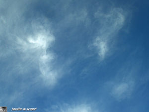 Les Cirrus, nuages de haute altitude