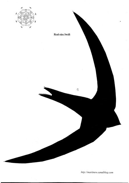 Real size Swift