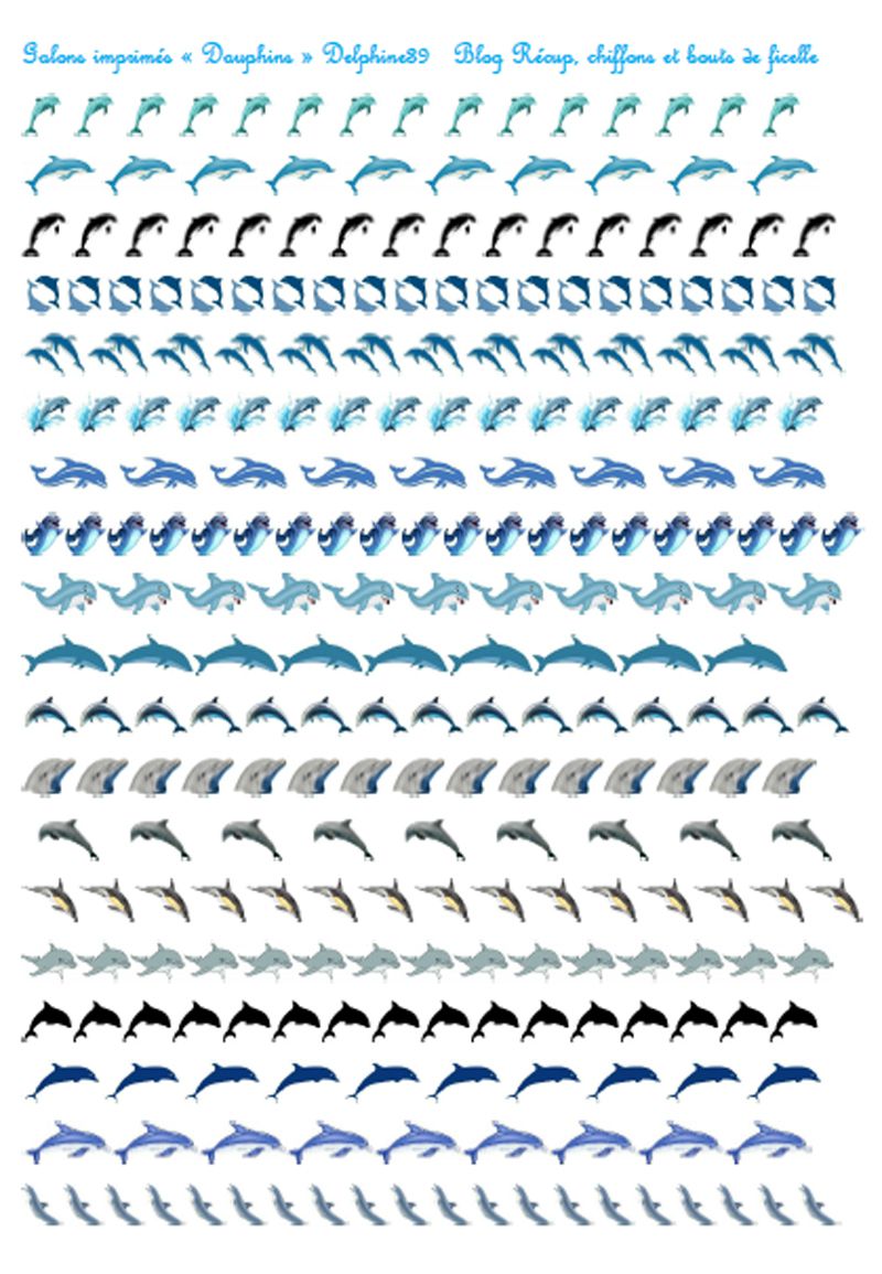 dauphins