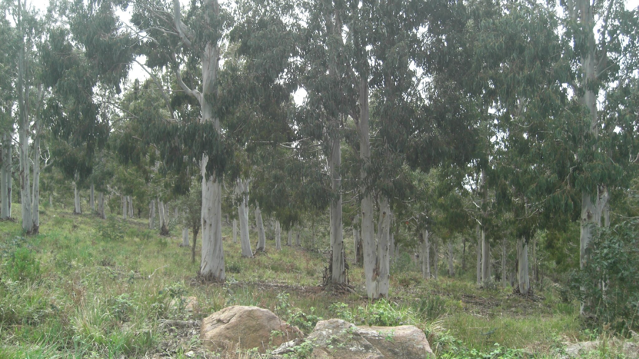 CIMG5637