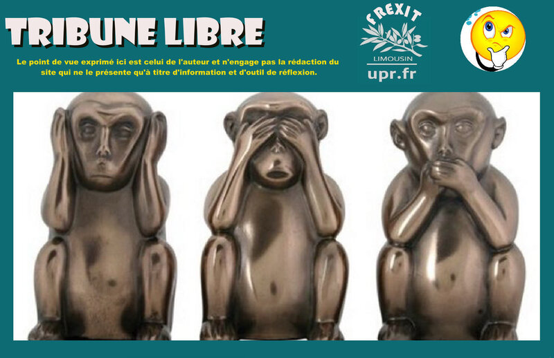 TL SINGES CHINOIS