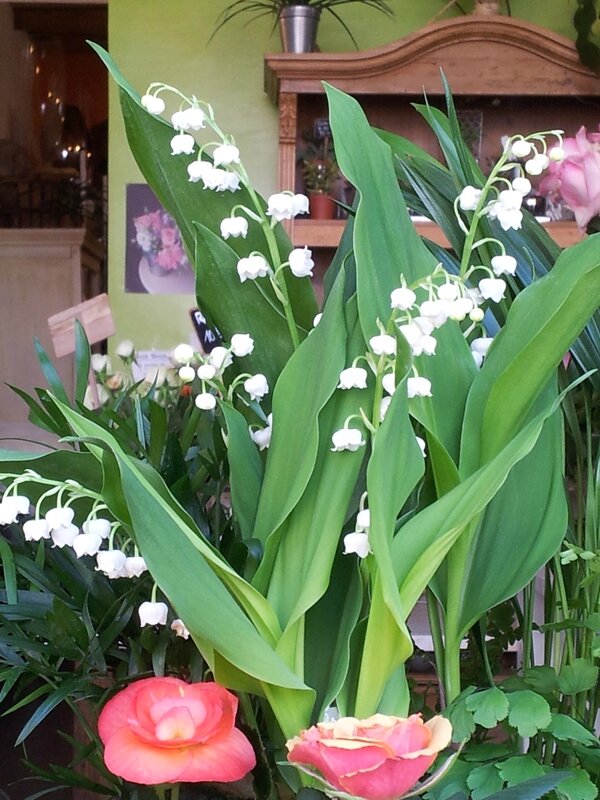 20140428_134849
