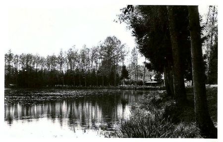 OHAIN-L'étang de La Carnaille