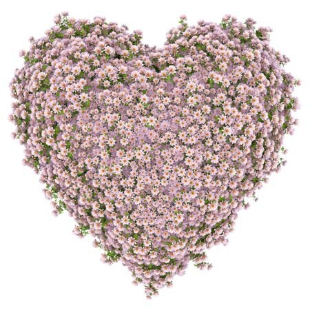 heart-of-flowers