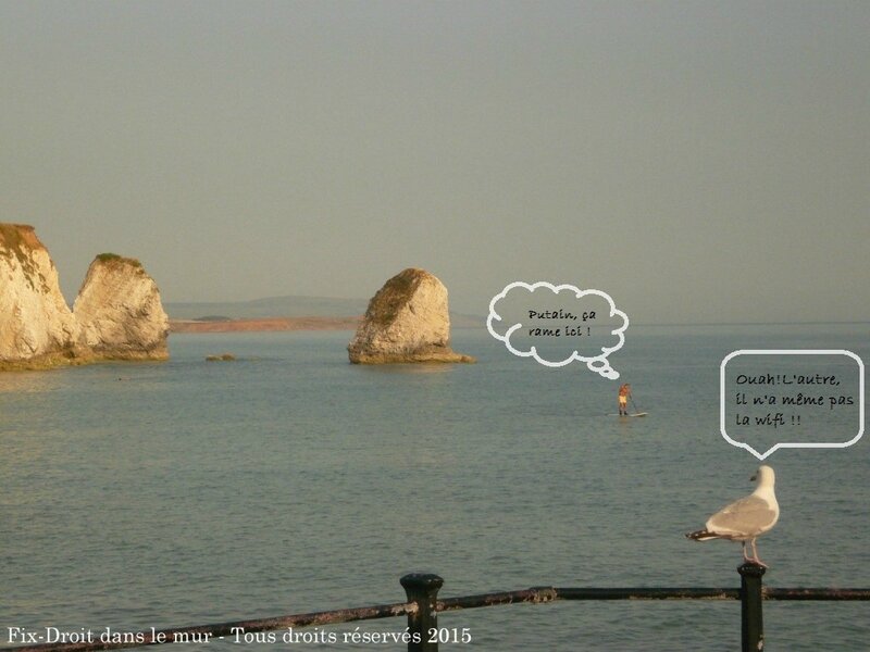 IOW 3 légende